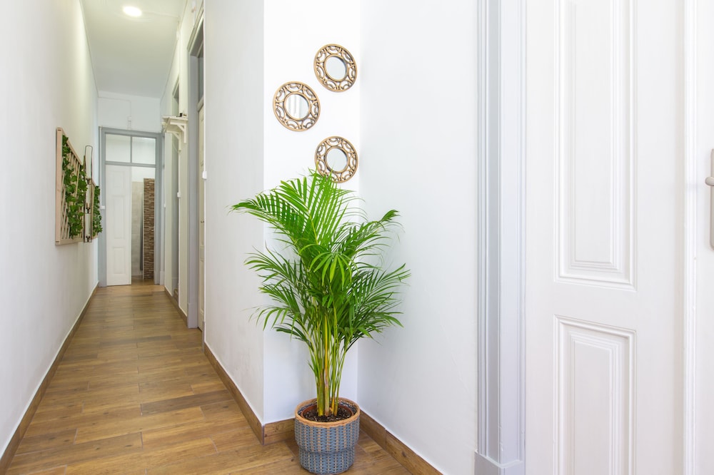 Faro Cosy Guest House 4/28