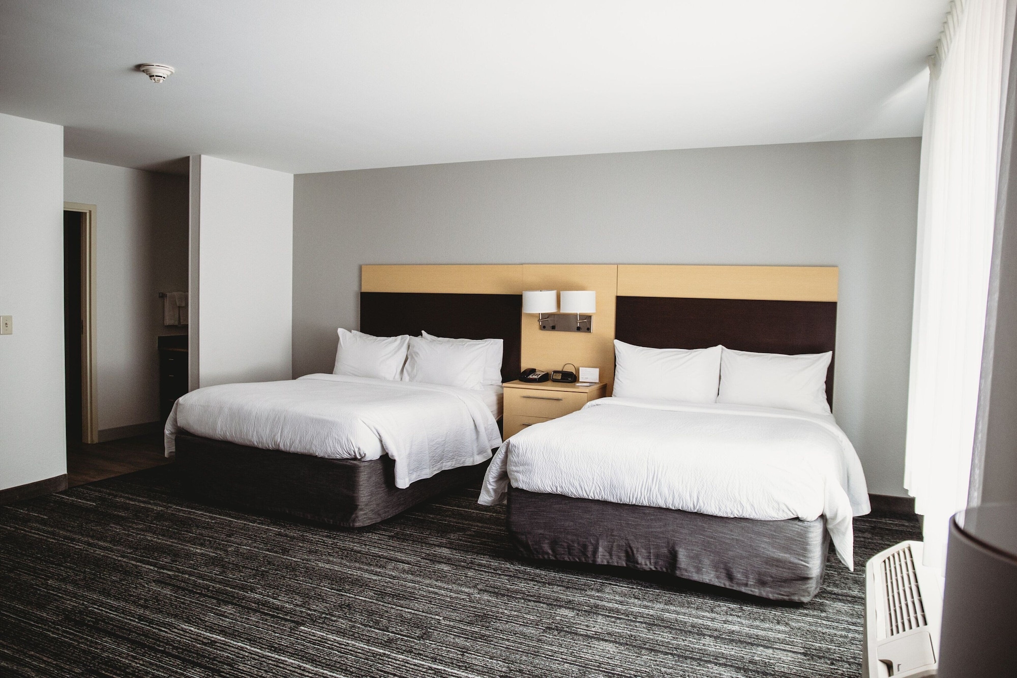 studio, 2 queen beds