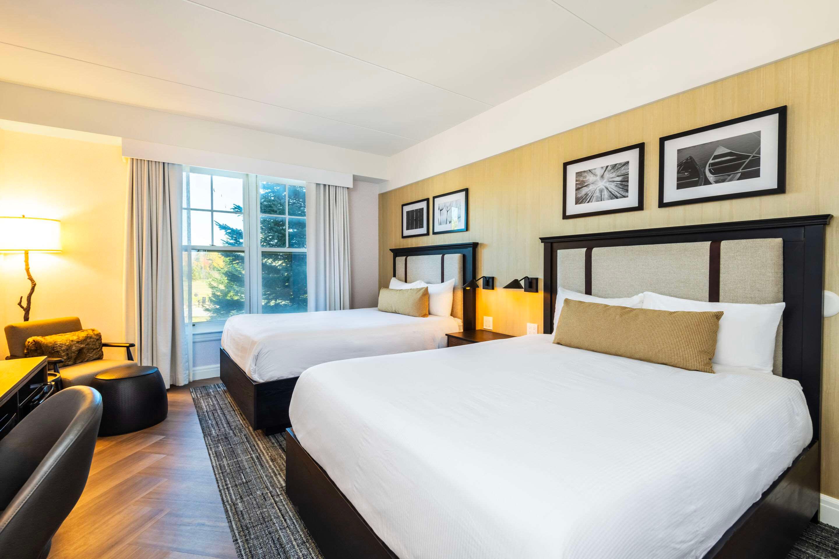 Room, 2 Queen Beds