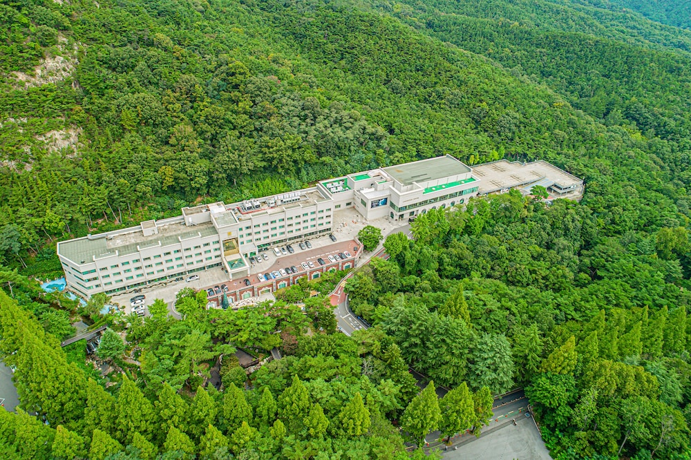 Hotel Geumosan 48/52