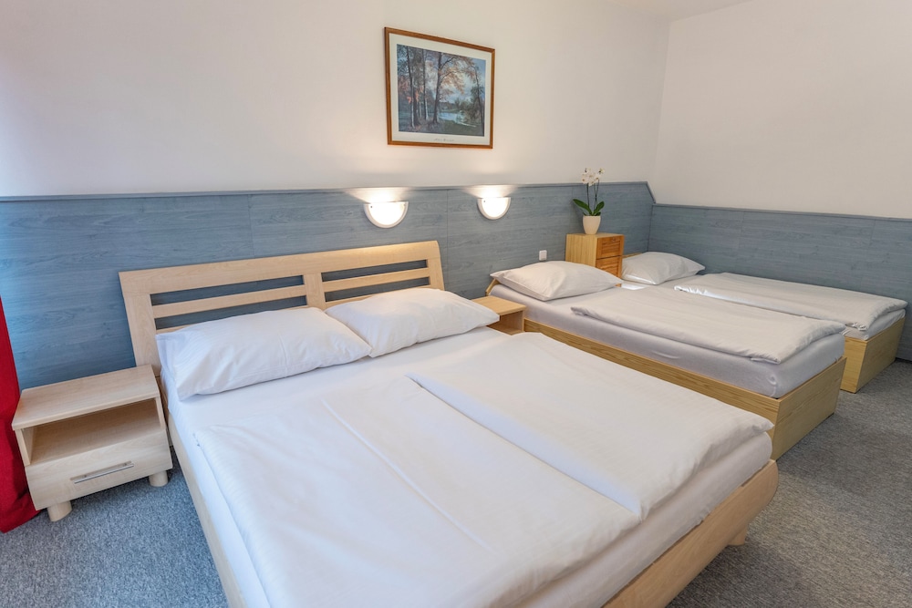 Sport Resort Hotel Gejzirpark 7/50
