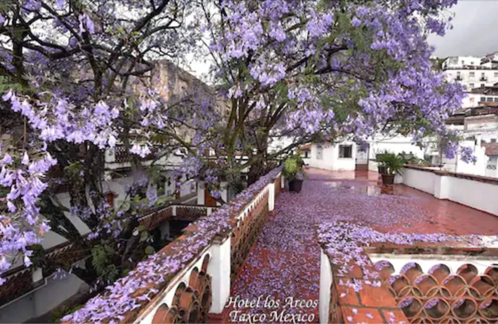 Hotel Los Arcos 11/65