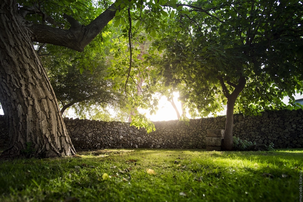 Hotel Masseria Degli Ulivi 38/50