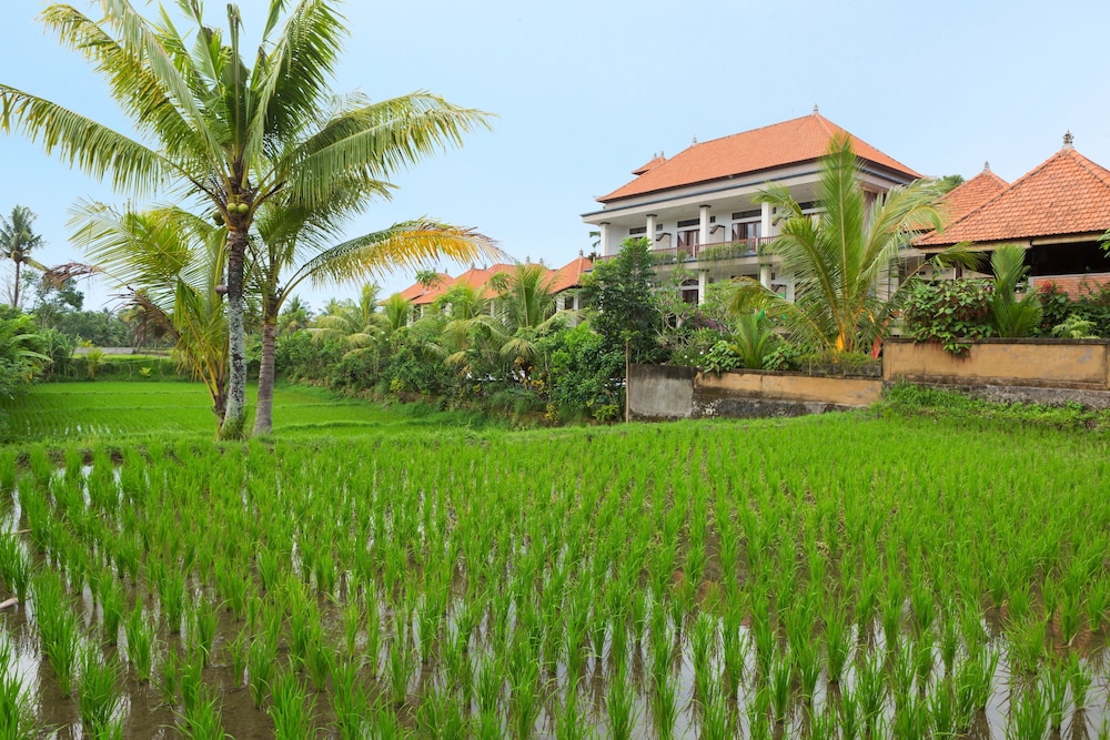 Kiskenda Cottages 49/57