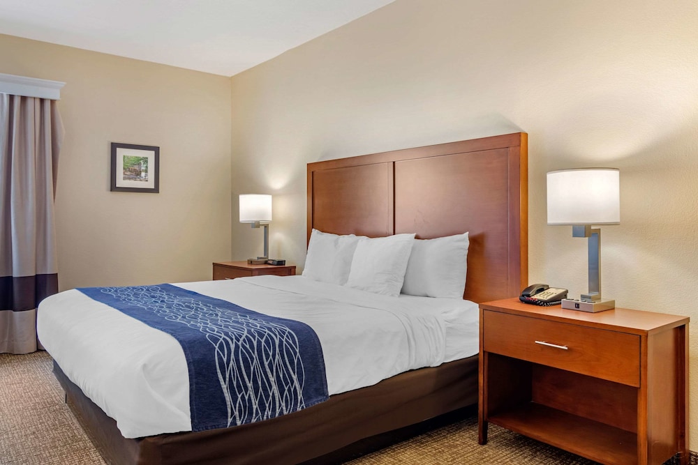 Comfort Inn Douglasville - Atlanta West 16/27
