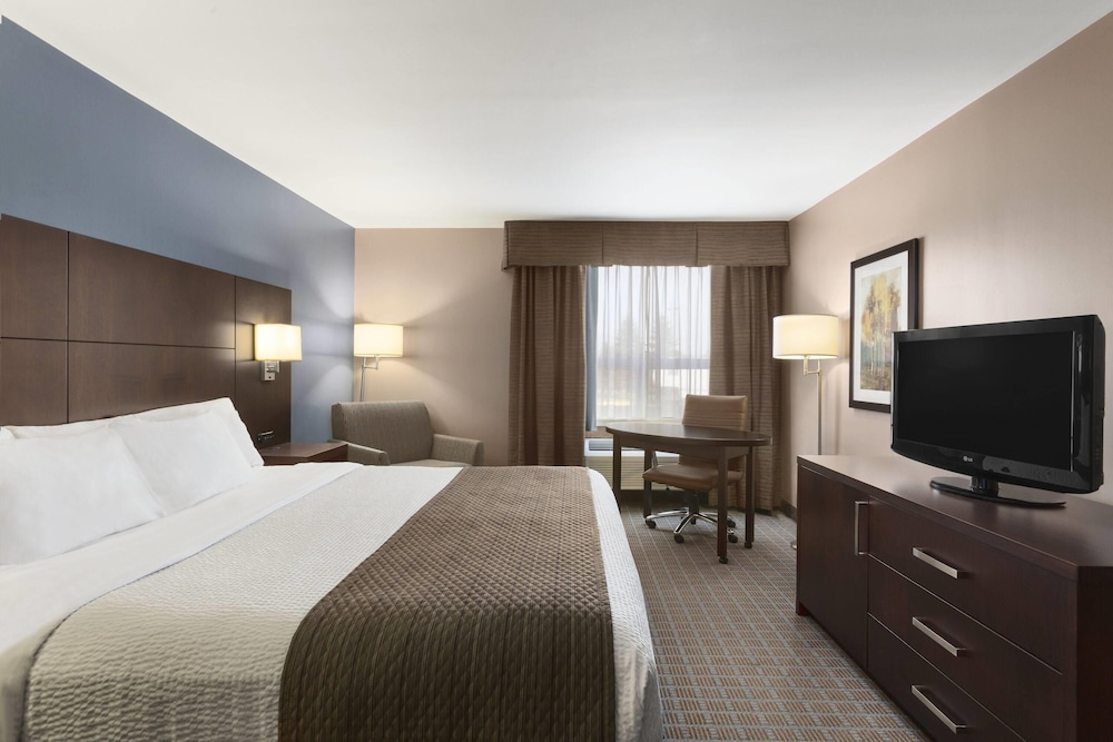 Room, King Bed