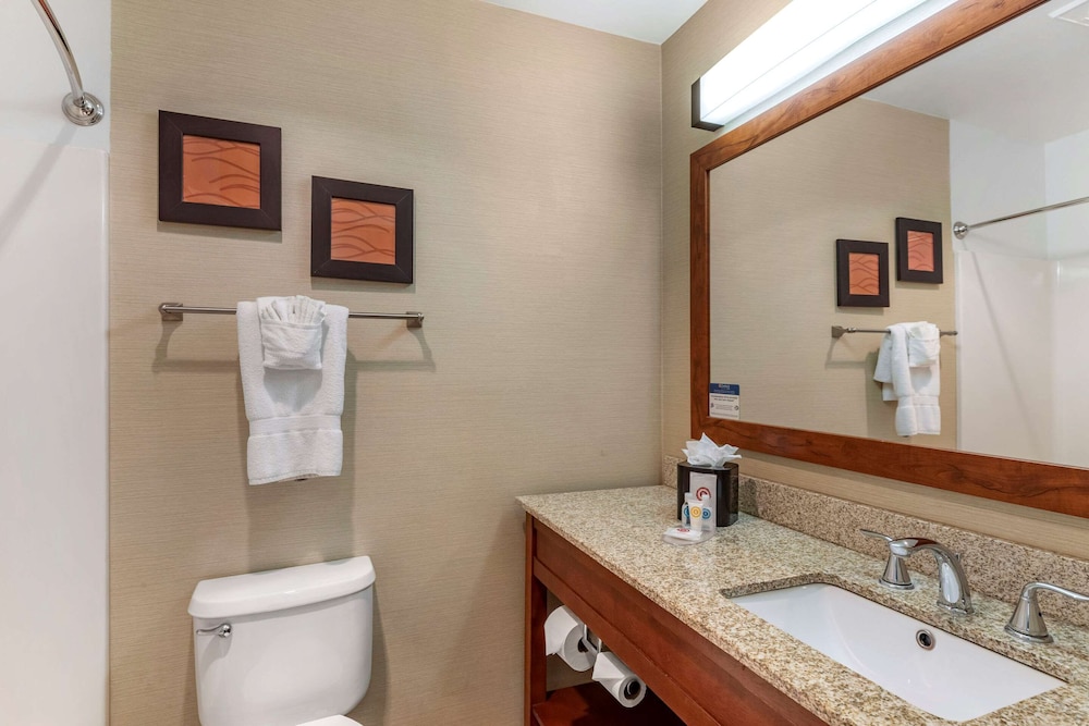 Comfort Inn & Suites Carbondale on the Roaring Fork 18/60