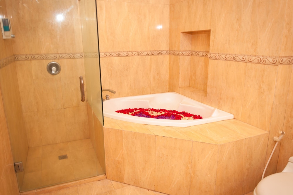 Bali Paradise City Hotel 25/50