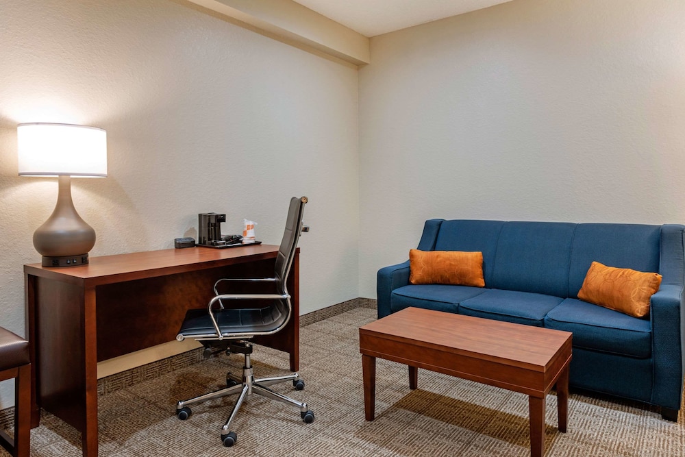 Comfort Suites Downtown Orlando 22/31