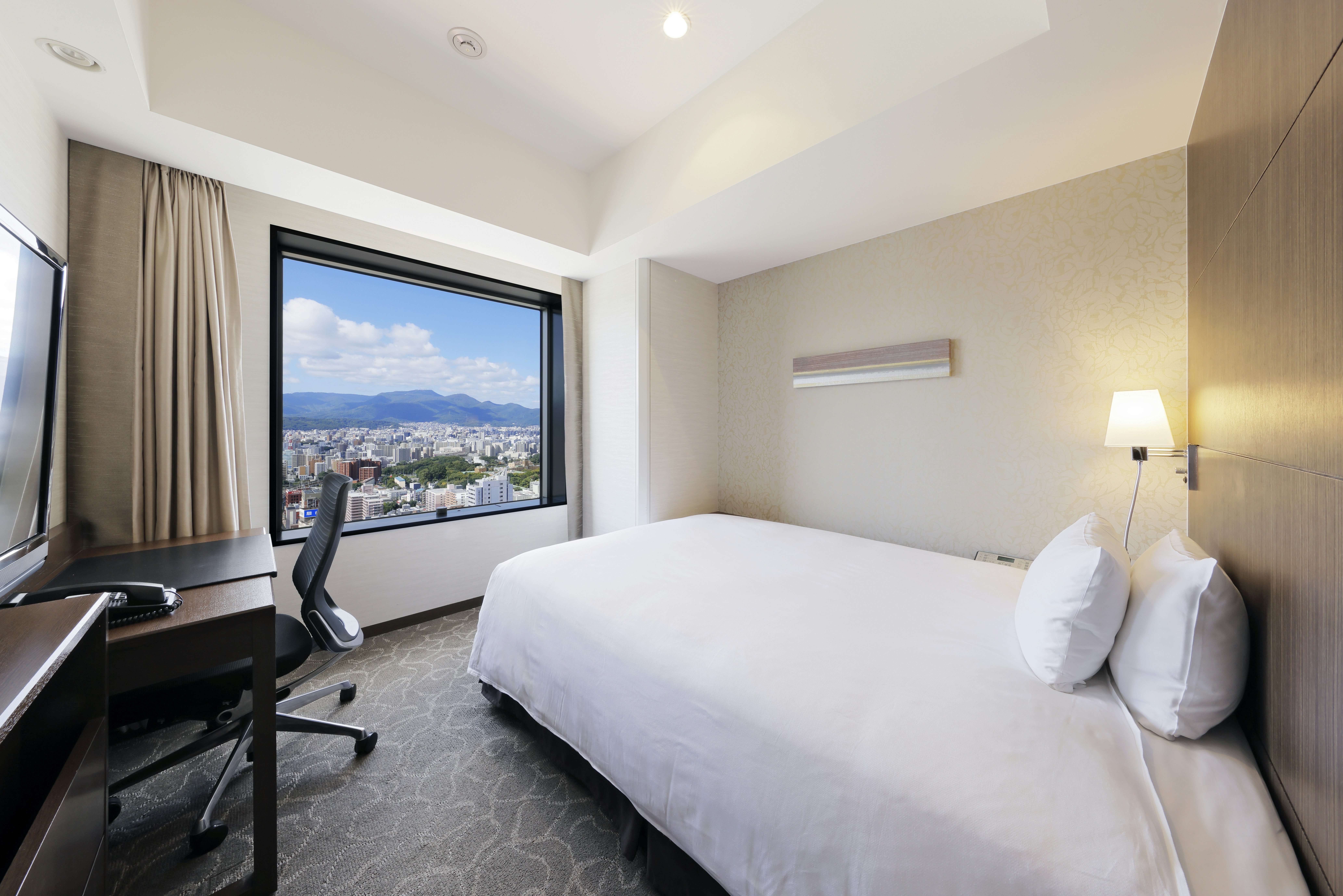 Moderate Single Room