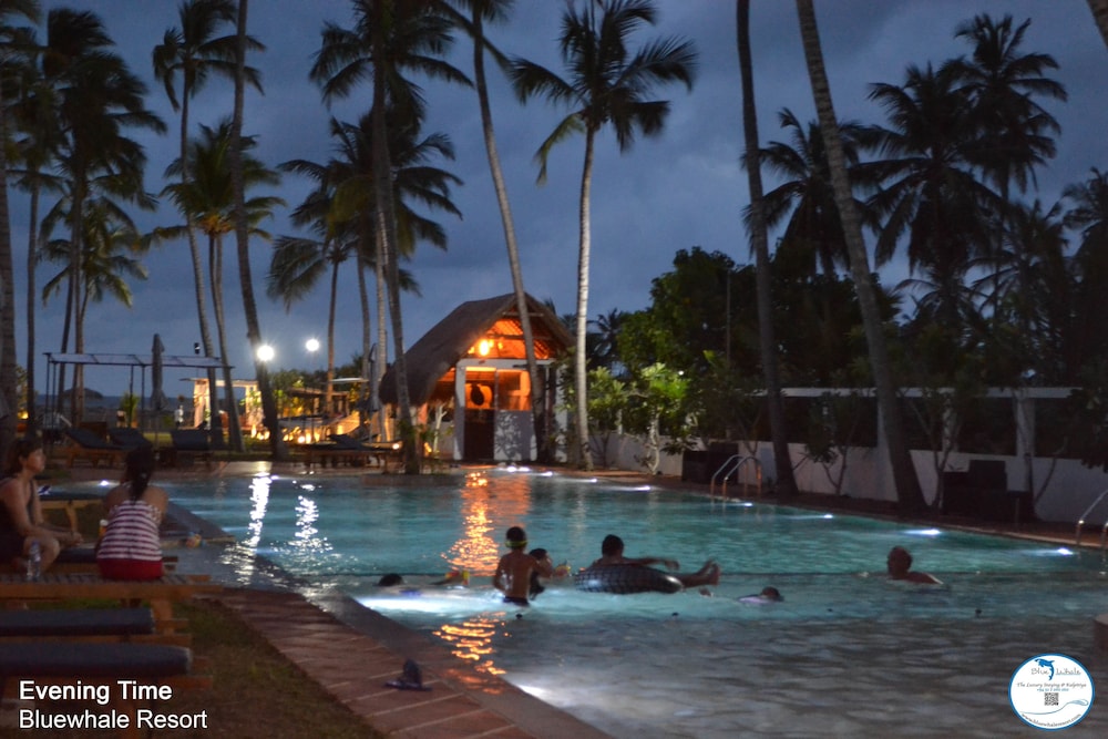 Blue Whale Beach Boutique Resort 28/29