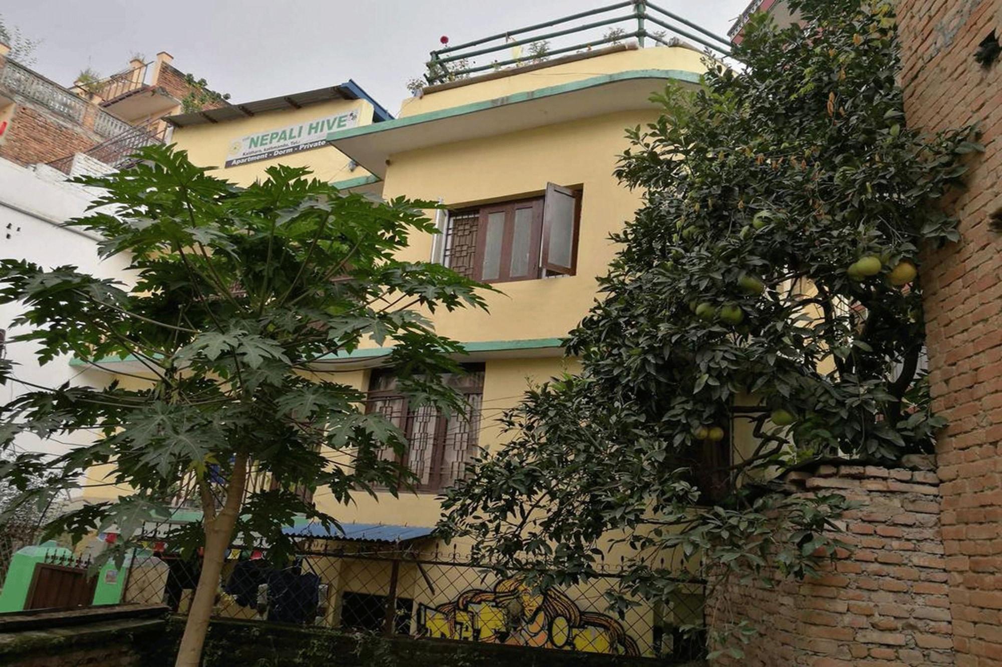The Nepali Hive 14/14