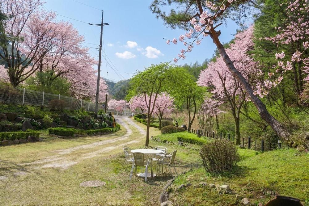 Yangpyeong Dorothy Velly Pension 25/39