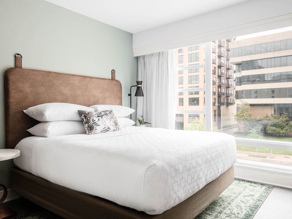 Suite, King Bed