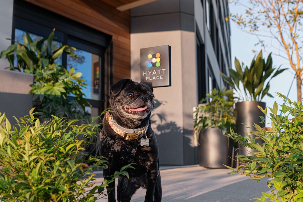 Hyatt Place Atlanta / Perimeter Center 9/49