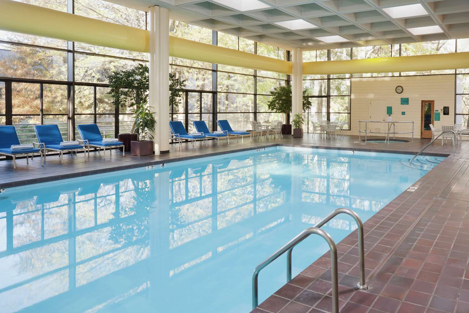 swimming pool spa