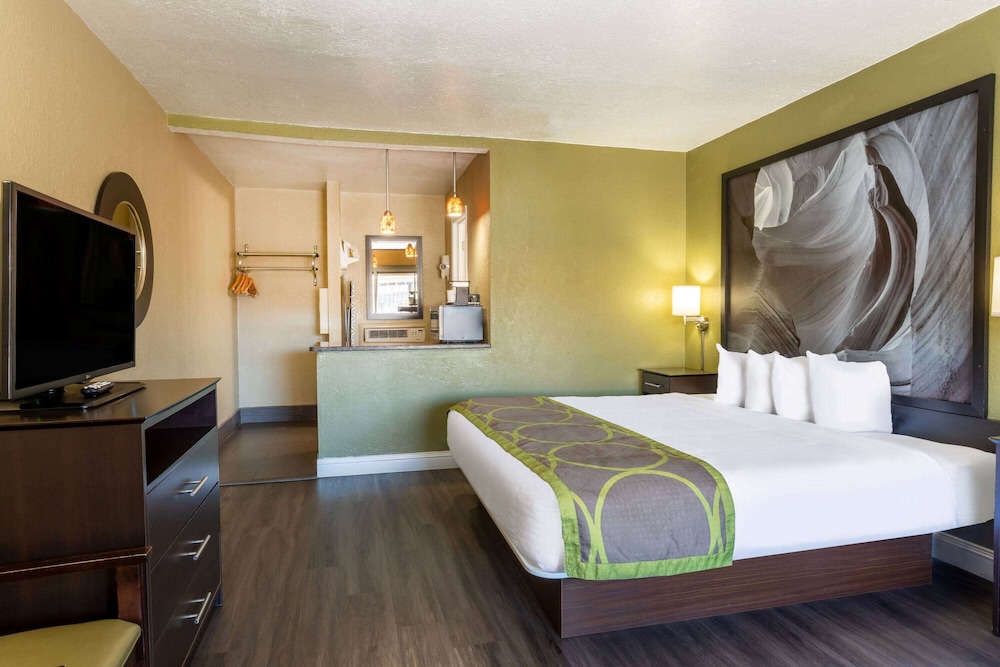 Room, King Bed