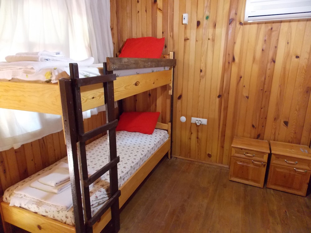Olympos Orange 25/50