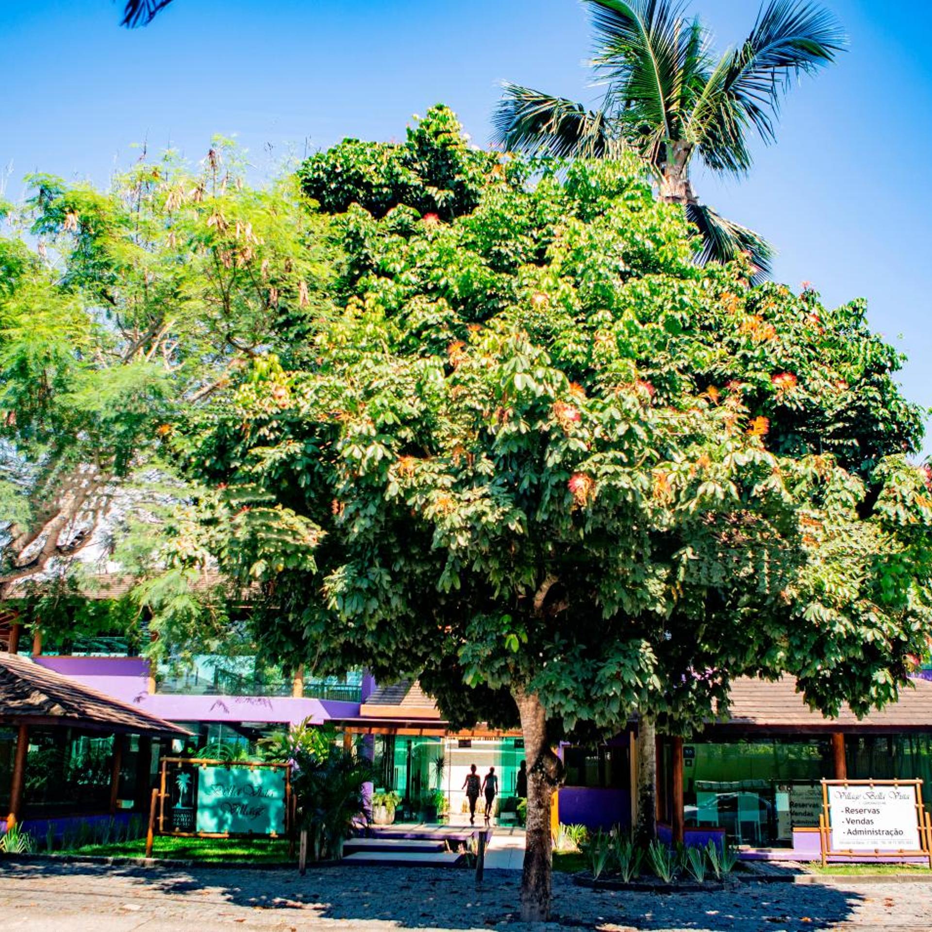 Bella Vista Village 36/50