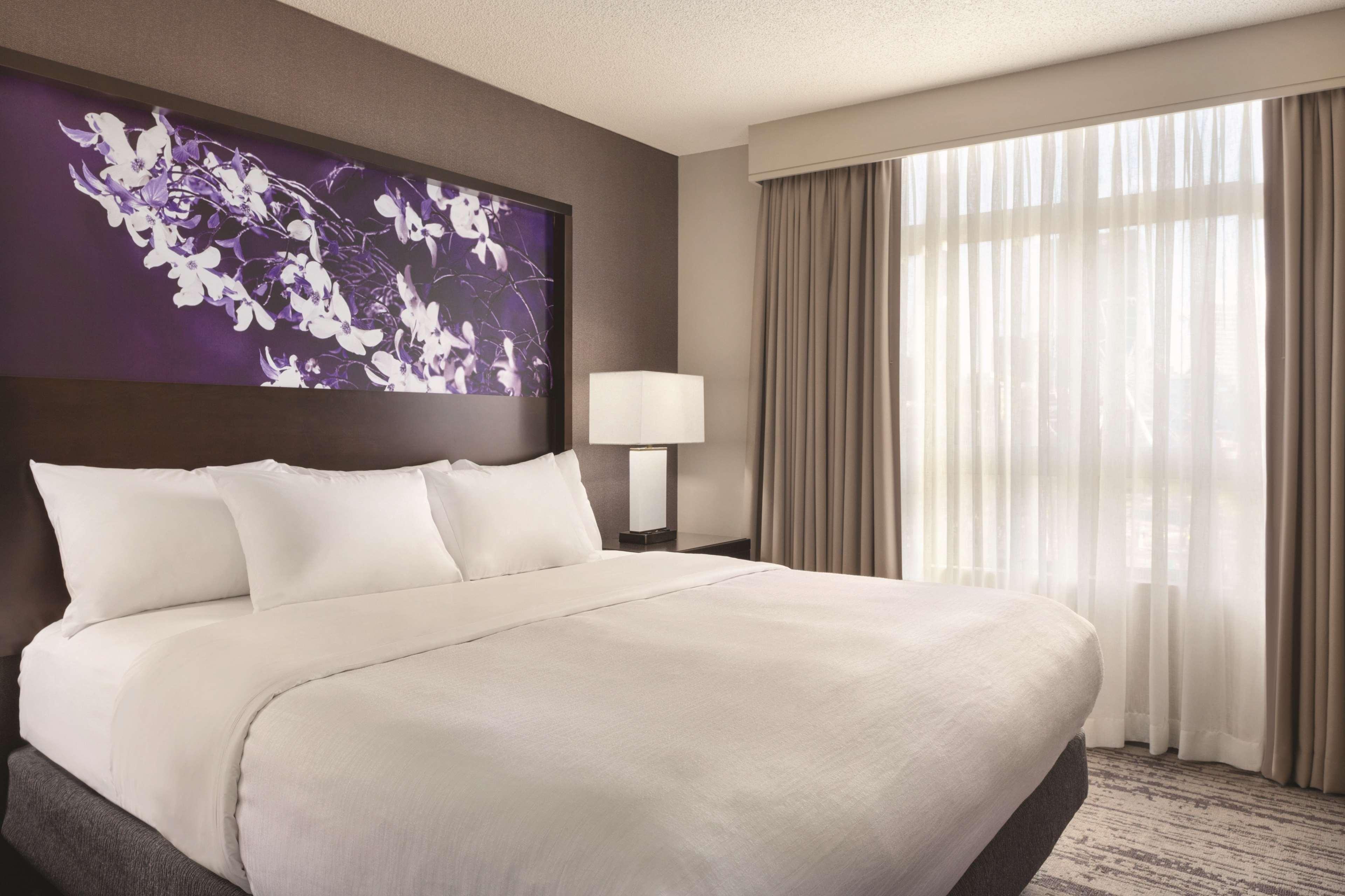PREMIUM, SUITE, KING BED, ACCESSIBLE