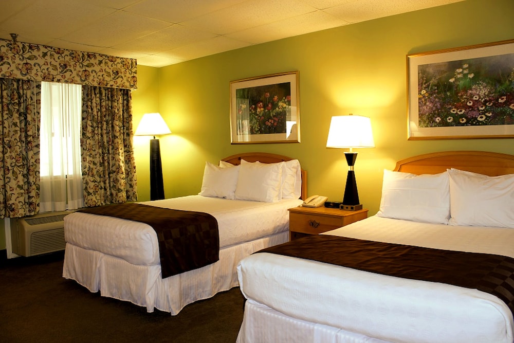 Room, 2 Double Beds, Kitchen