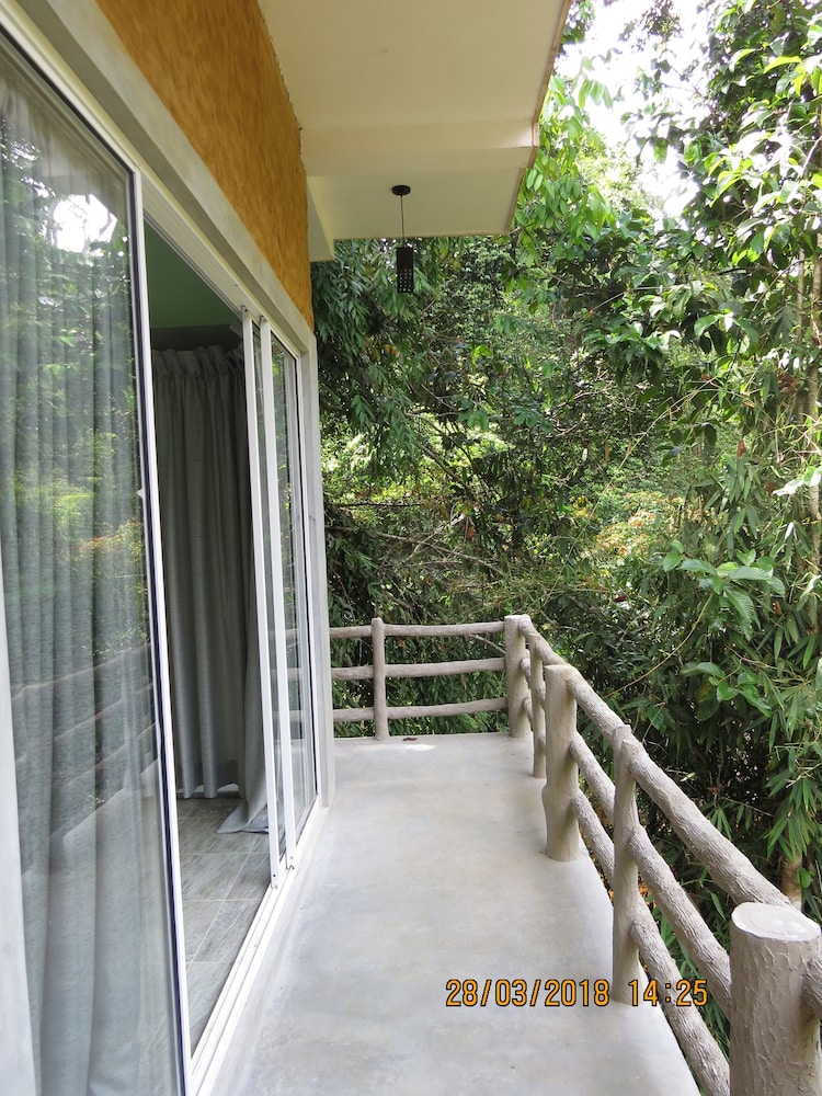 Sinharaja Birder's Lodge 7/36