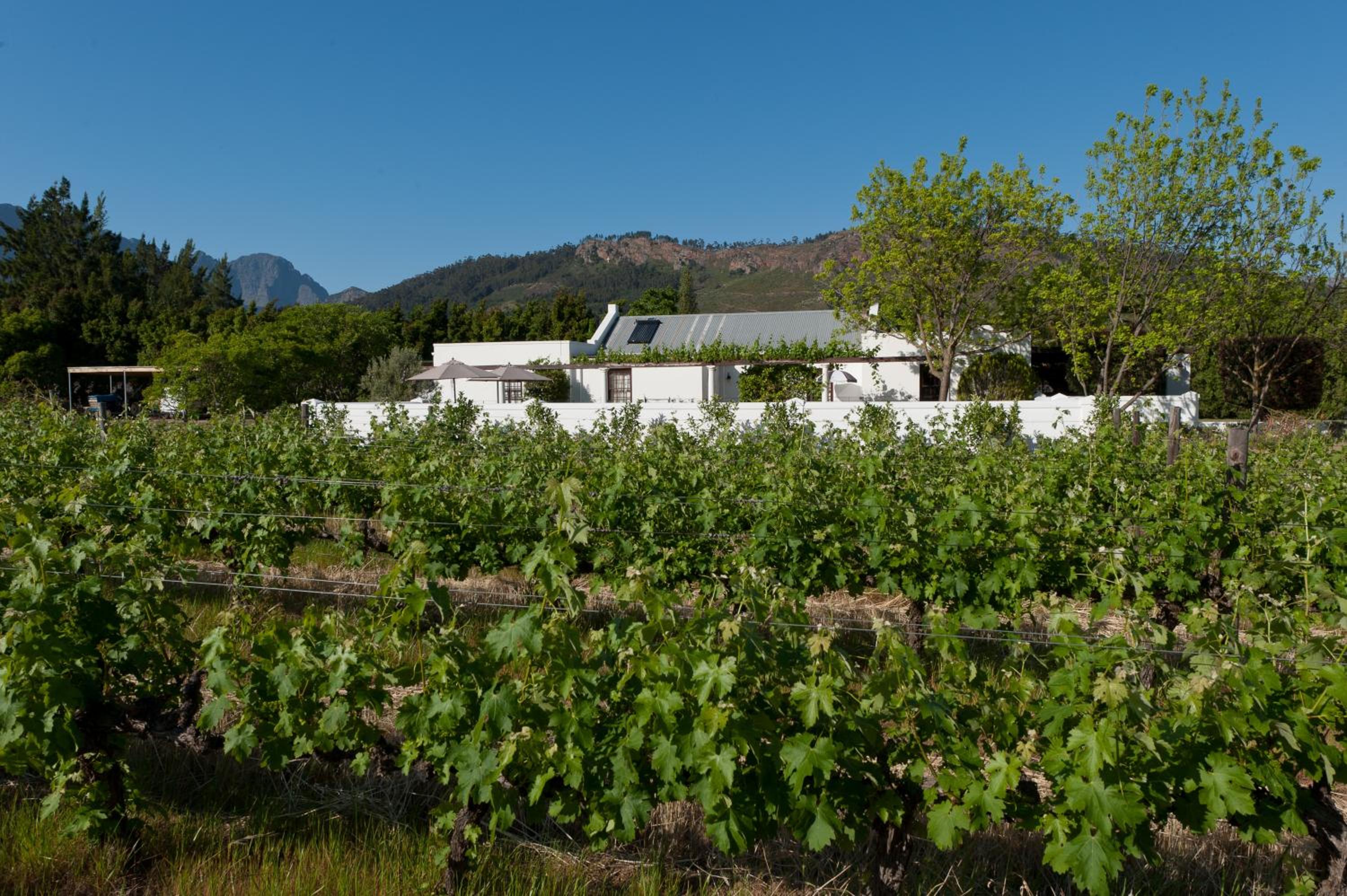 La Galiniere Guest Cottages 2/14