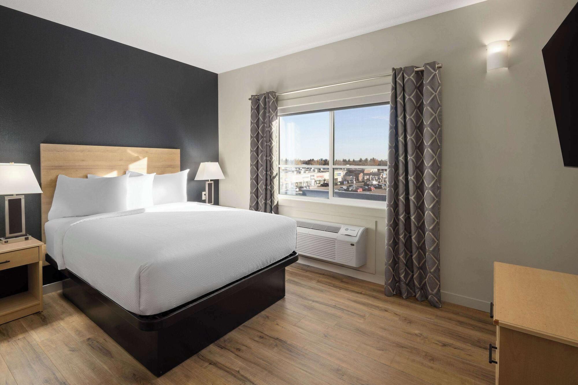 1 Bedroom, Loft, Suite