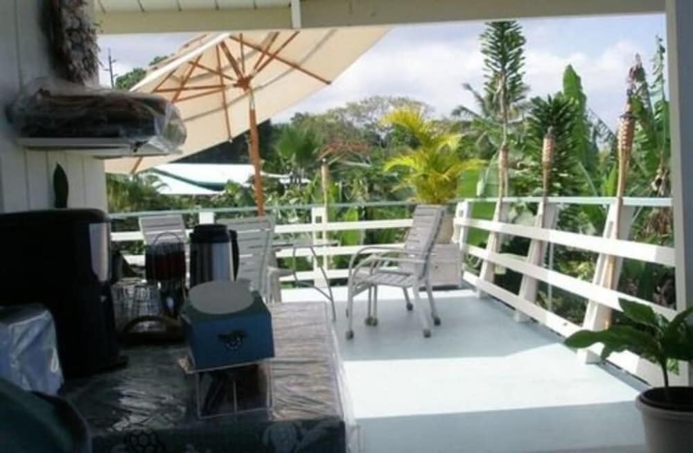 Hale Hoola B&amp;B 17/18