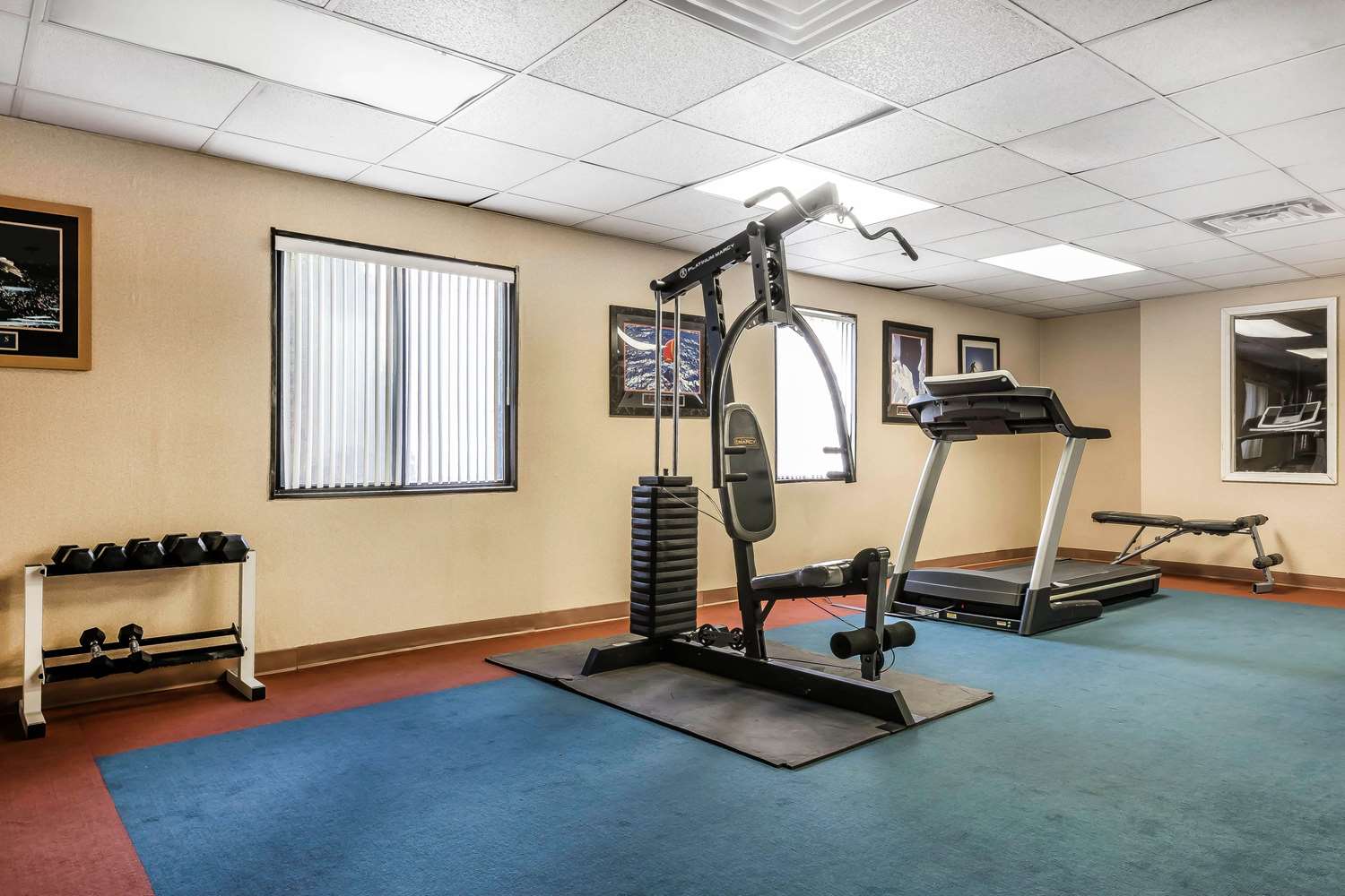 Quality Inn & Suites Binghamton Vestal 14/31