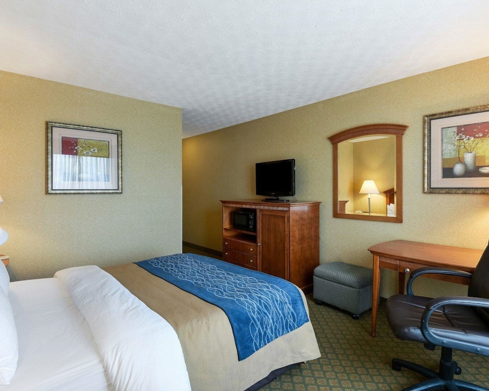 Comfort Inn Grantsville 15/41