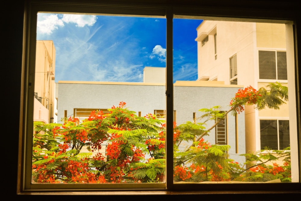 Serene Boutique Hotel photo3