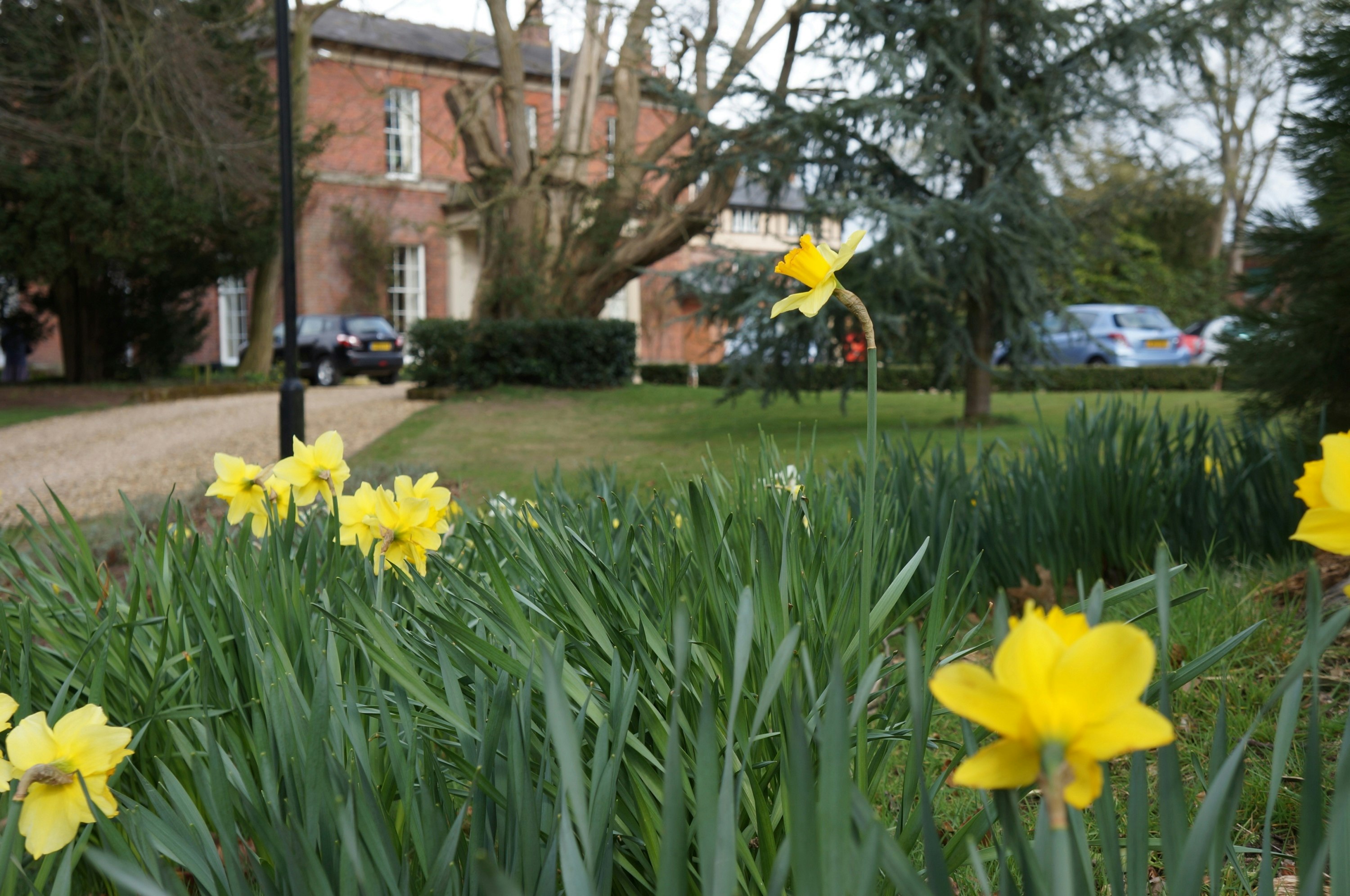 The Old Rectory 64/71