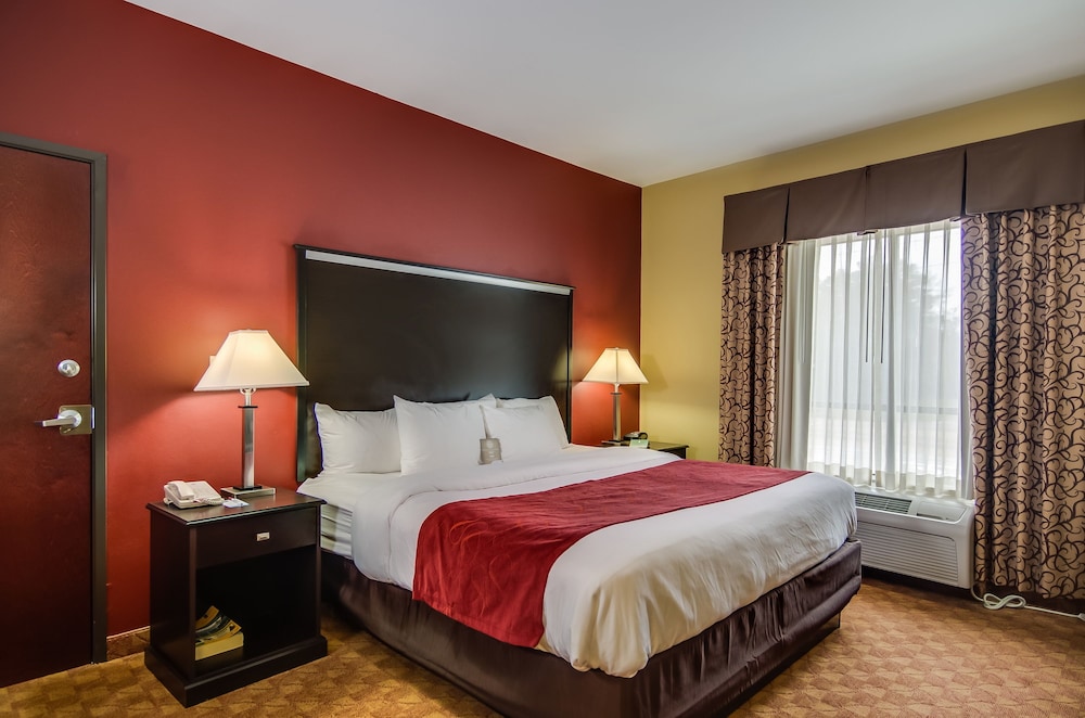 Comfort Suites Old Town Spring, TX 19/44