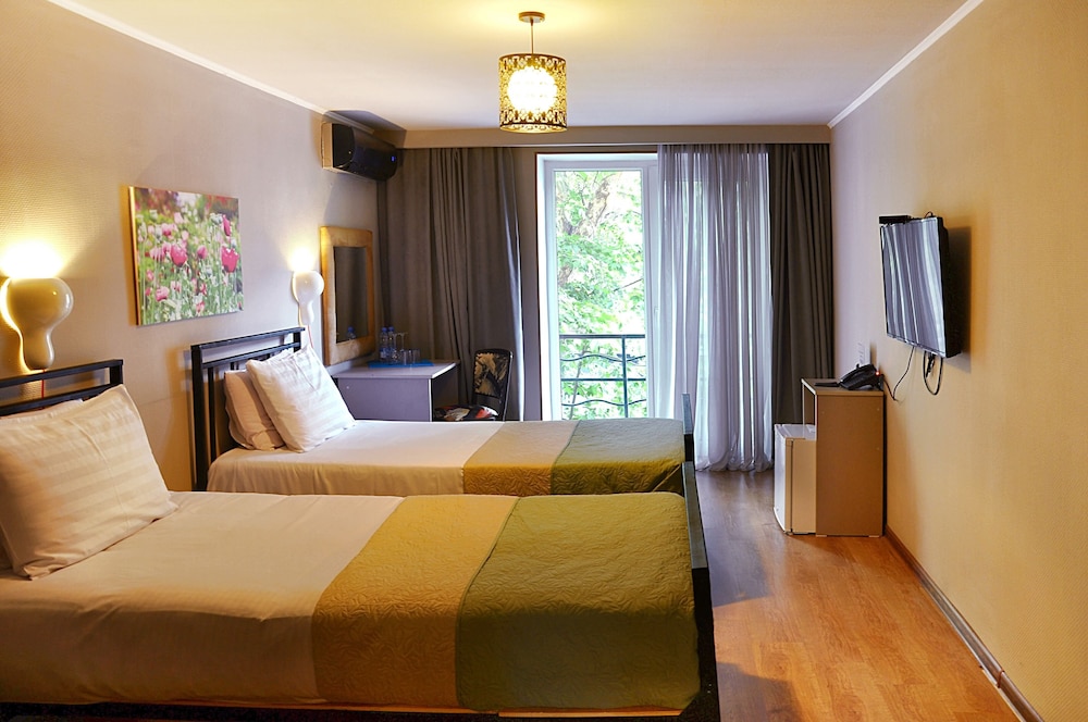 Art Hotel Claude Monet 6/50