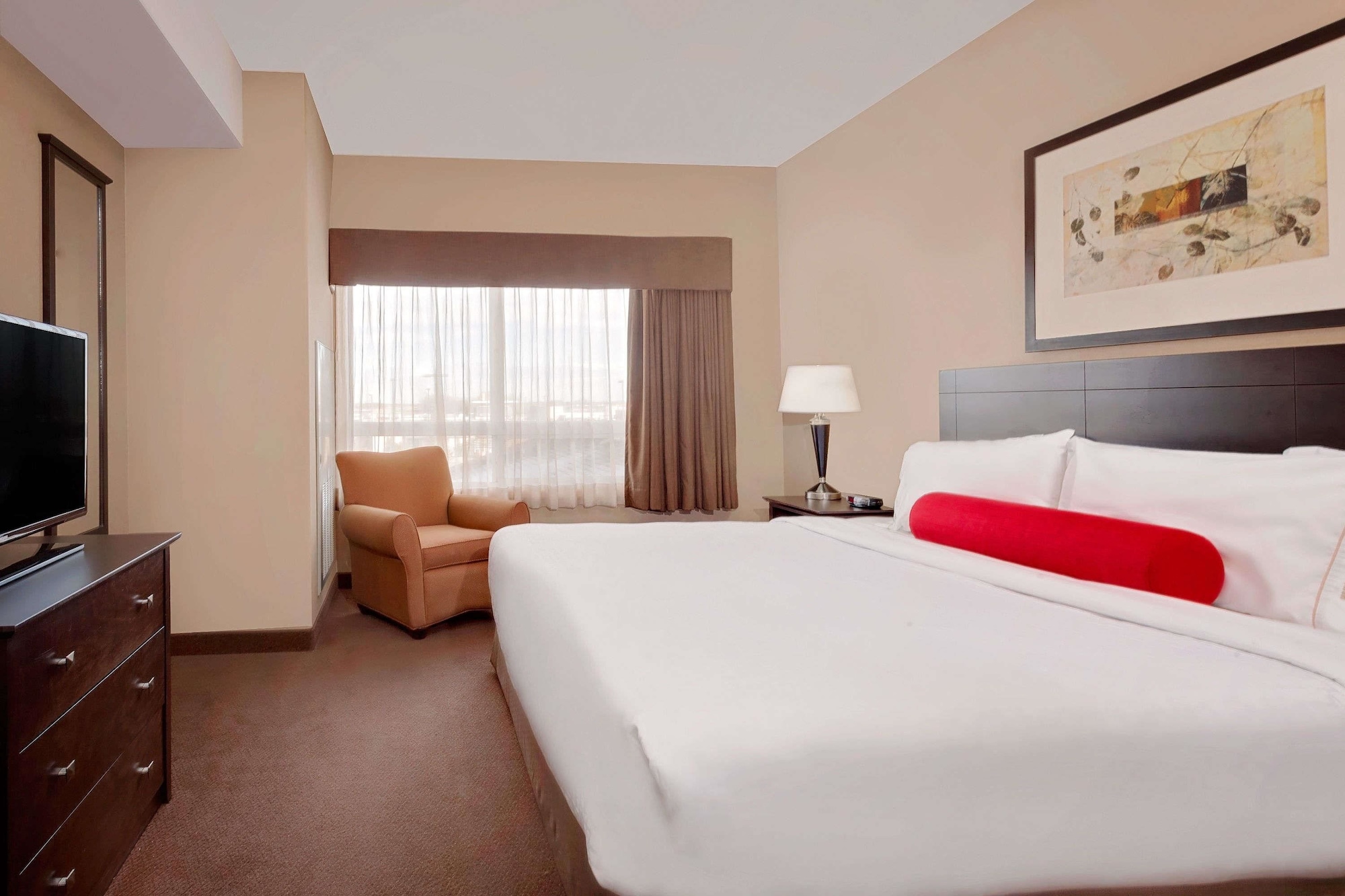 Suite, King Bed, Sofa