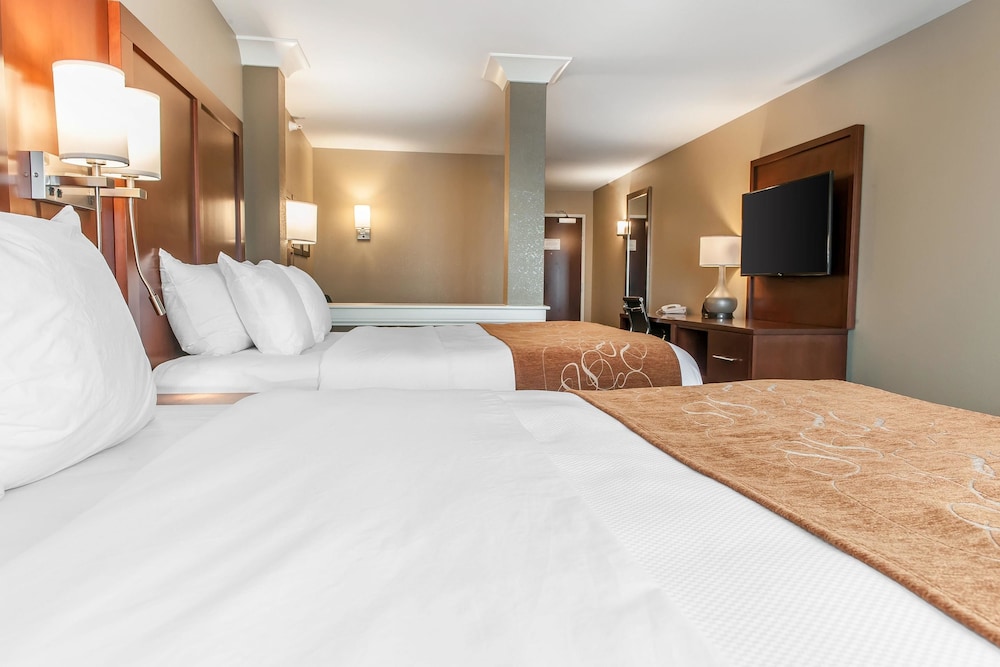 Comfort Suites Rensselaer Near Fair Oaks 10/42