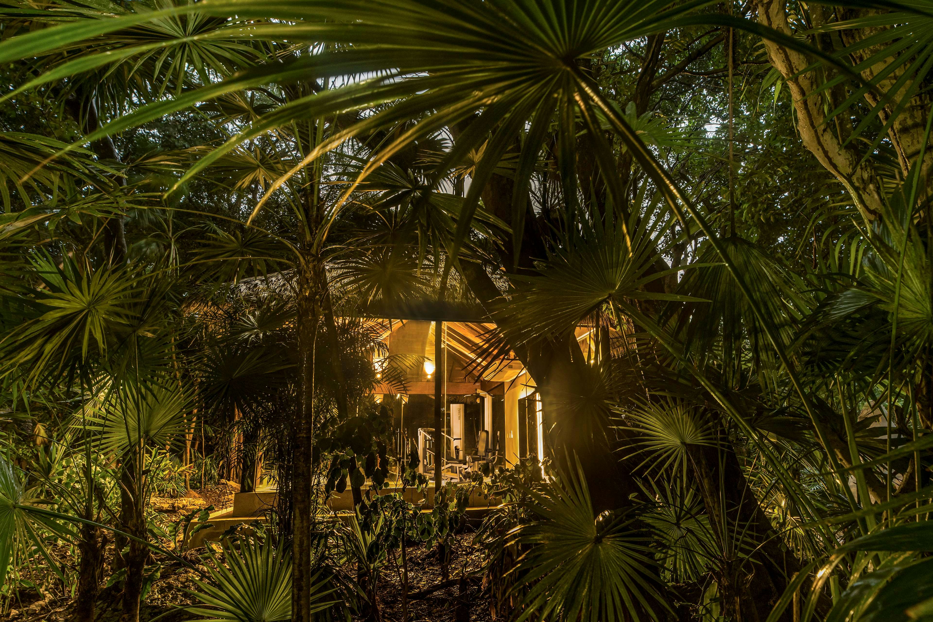 Viceroy Riviera Maya, a Luxury Villa Resort - Adults Only 76/80