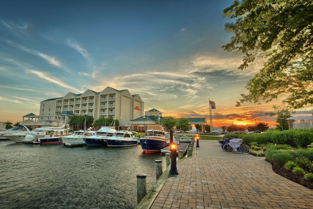 Hilton Garden Inn Kent Island Marina 3/51