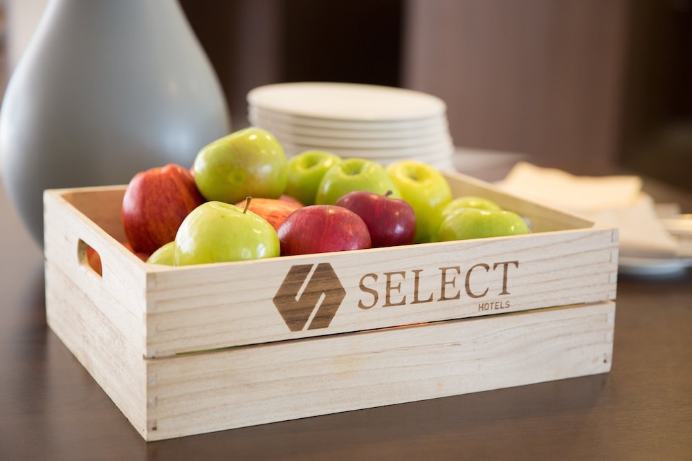 Select Hotel Mainz 41/91
