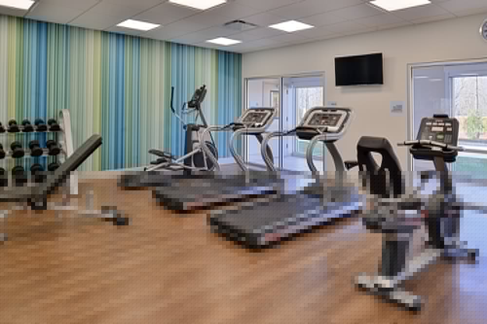 HOLIDAY INN EXPRESS & SUITES BRIGHTON SOUTH - US 23 30/51