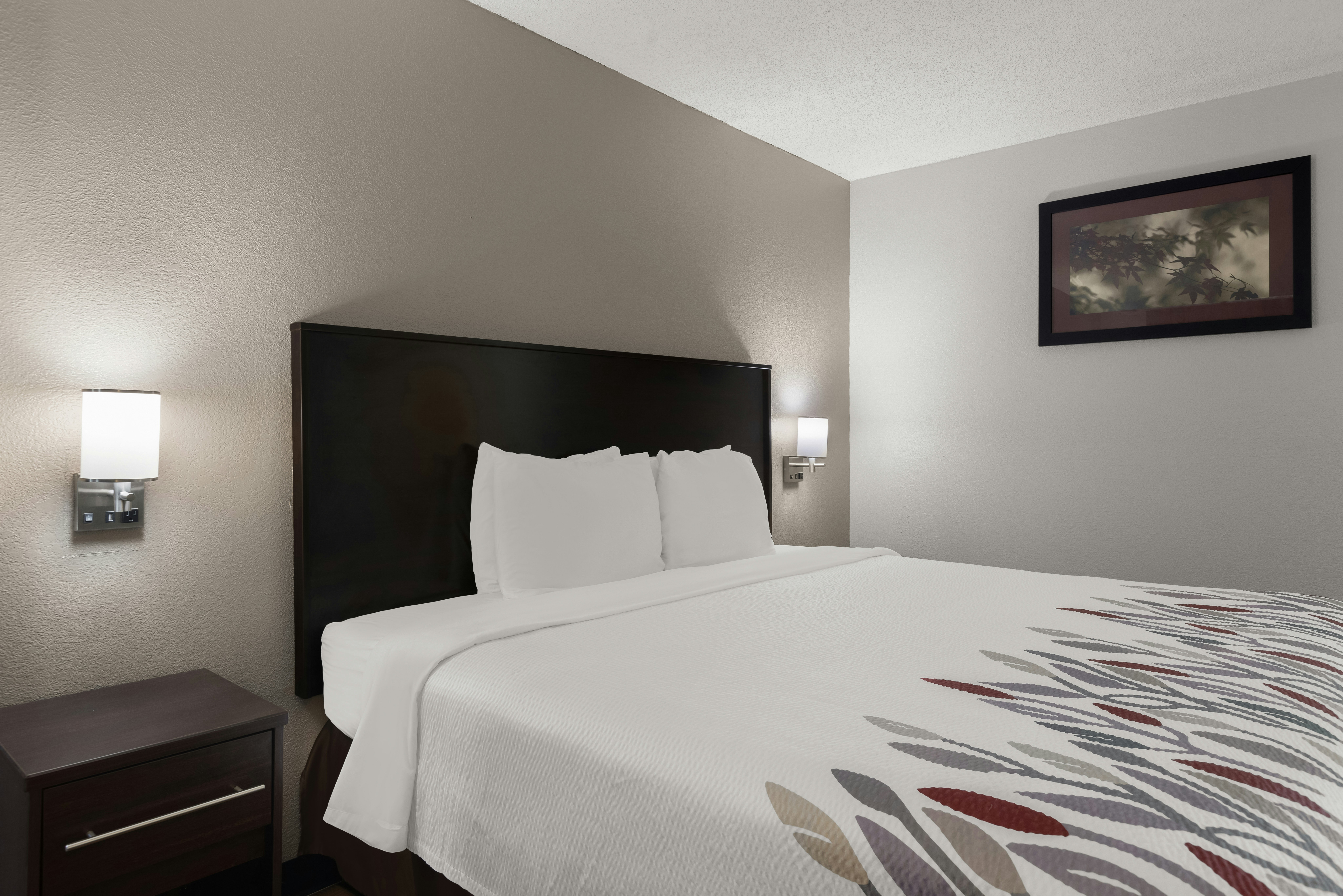 Red Roof Inn & Suites Savannah Airport 9/36