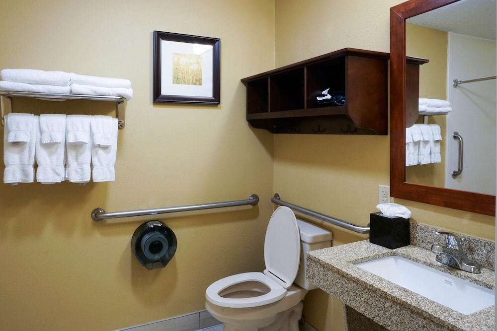 Best Western Plus Georgetown Corporate Center Hotel 18/41