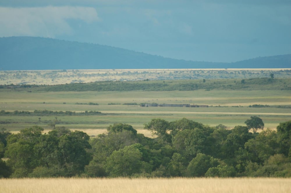 Mara Intrepids Tented Camp 27/49