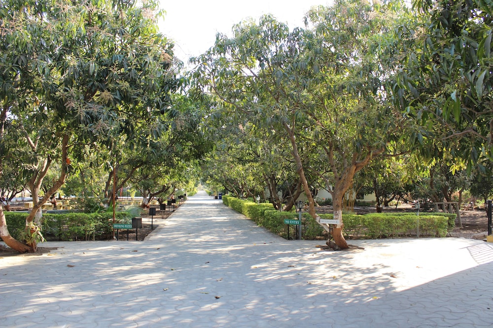 Gir Jungle Lodge 7/38