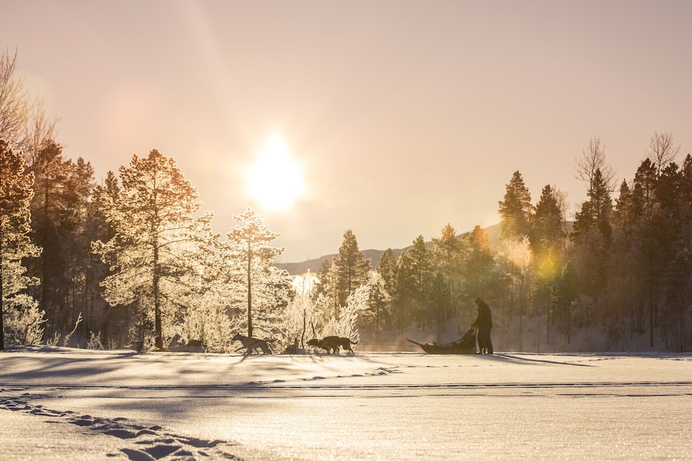 Malangen Resort 41/50