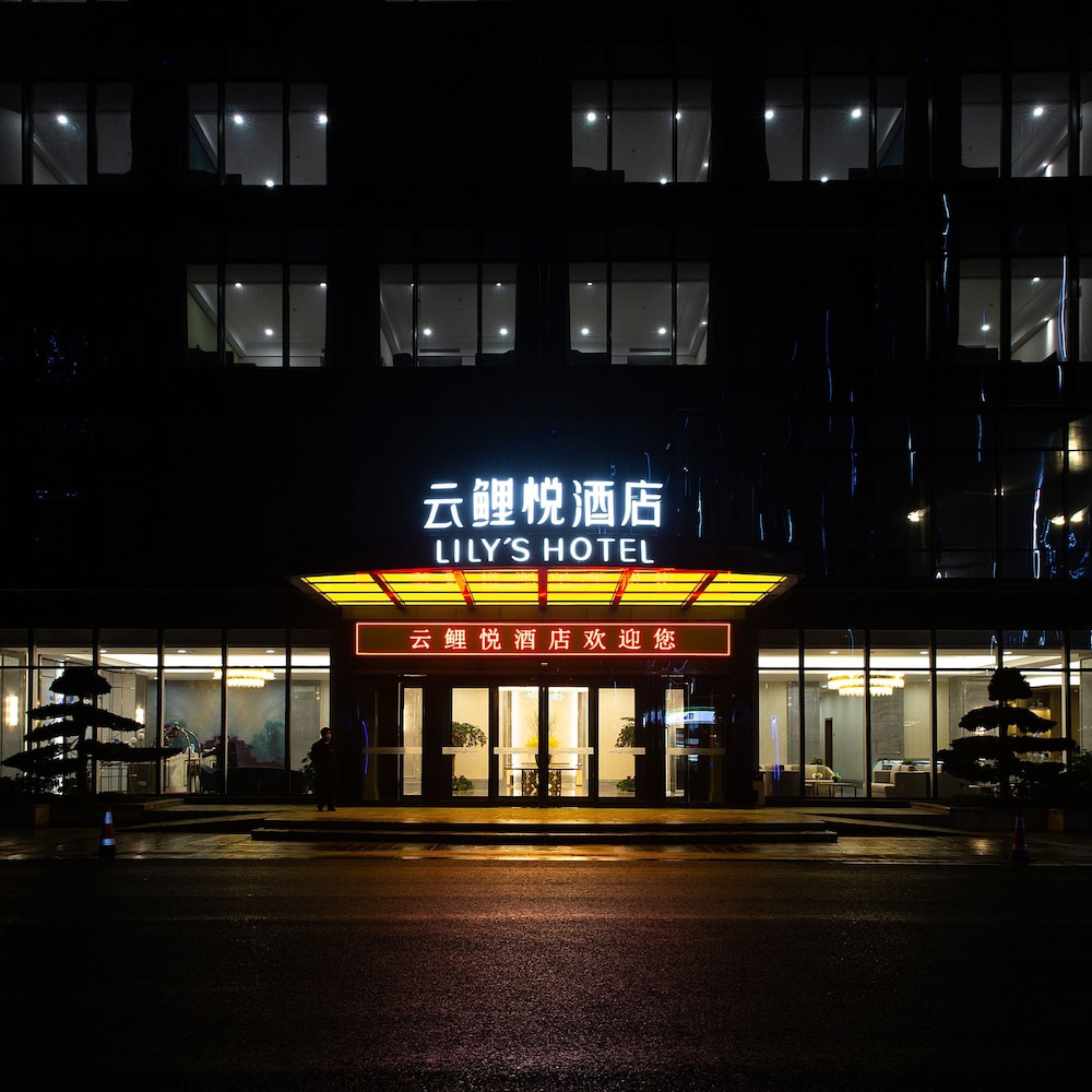 Lily酒店(Lily Hotel) 图片3