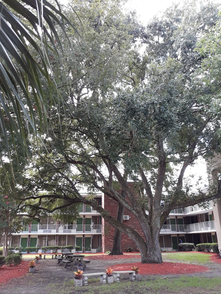 Days Inn by Wyndham Mt Pleasant-Charleston-Patriots Point 4/26