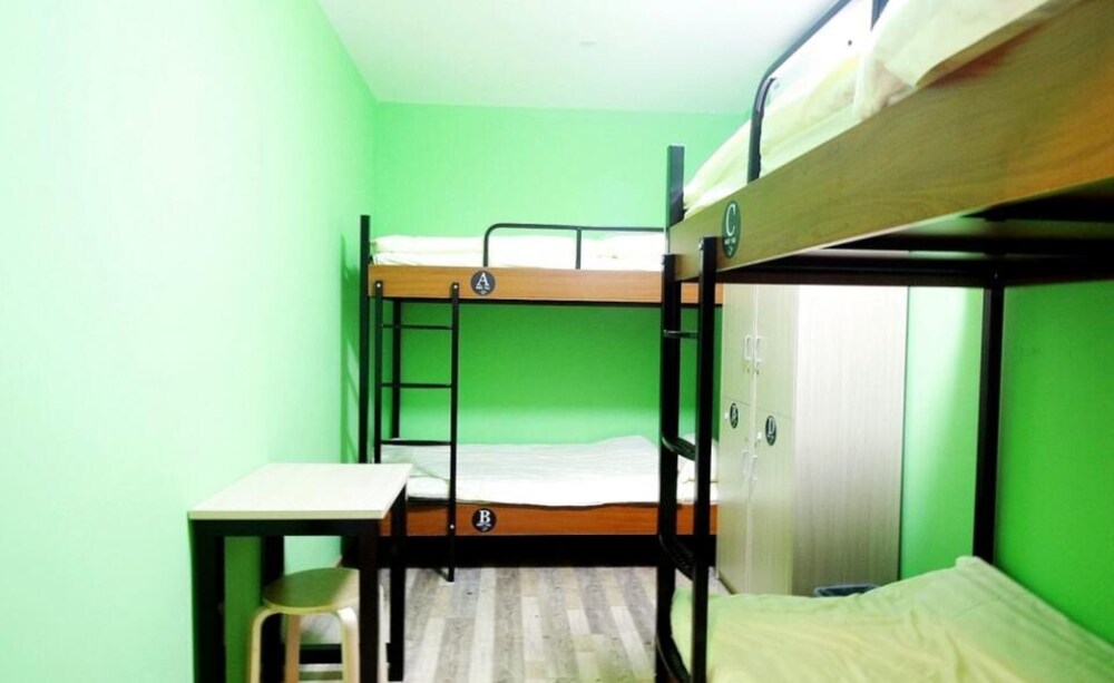 Meet Fish International Youth Hostel 6/19
