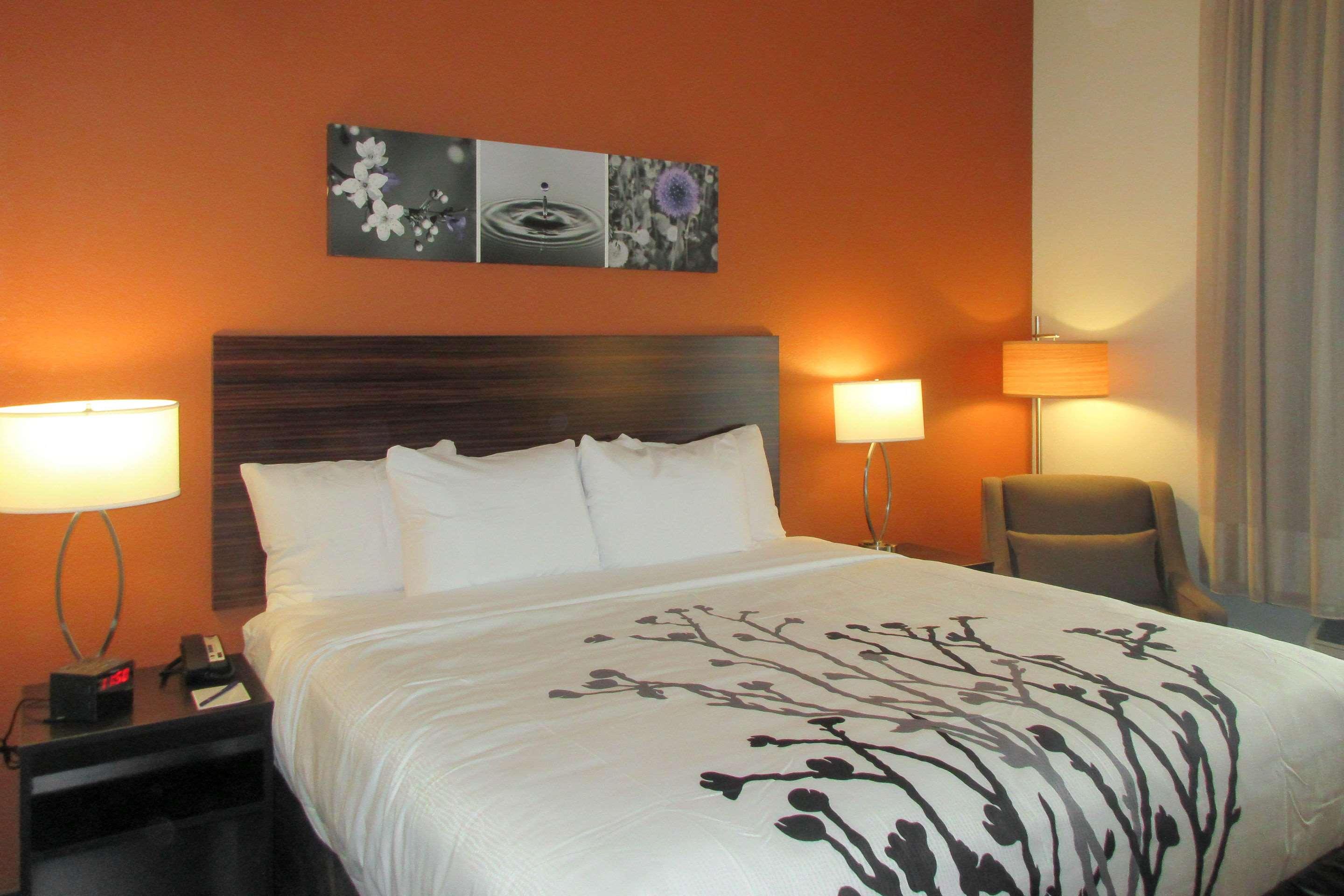 Efficiency, Suite, King Bed